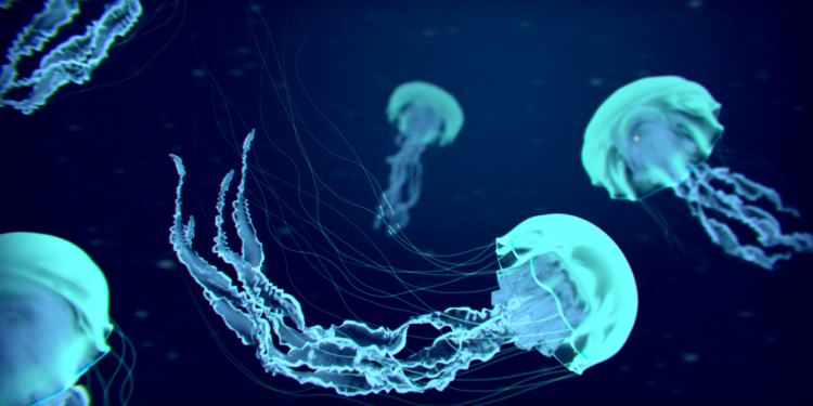 Deep-Sea Jellyfish Glows Permanently